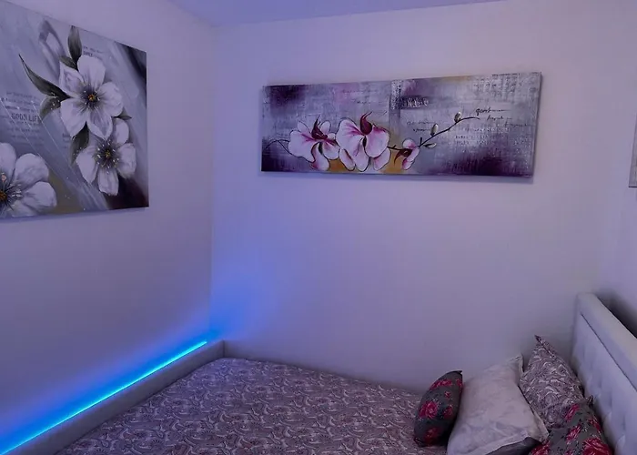 Lägenhet Gray D'albion Centre , 1 Min Des Plages *