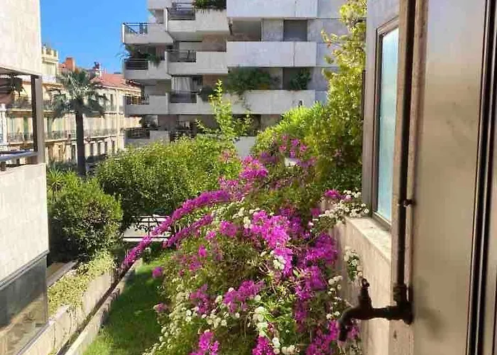 Gray D'albion Centre , 1 Min Des Plages *